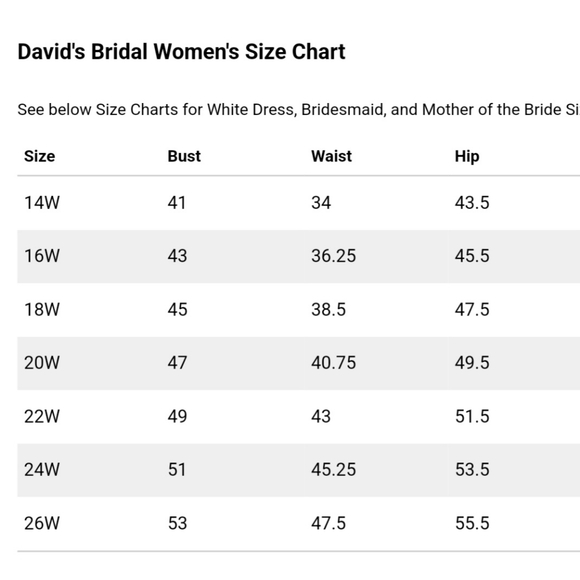 NWT St Tropez White Wedding Dress sz 22W - Picture 16 of 16